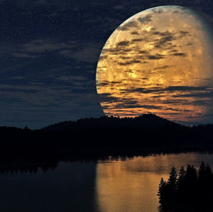 Meet your Posher, Mckenzie